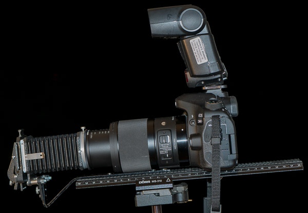 Camera Scan