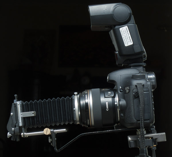 Camera Scan